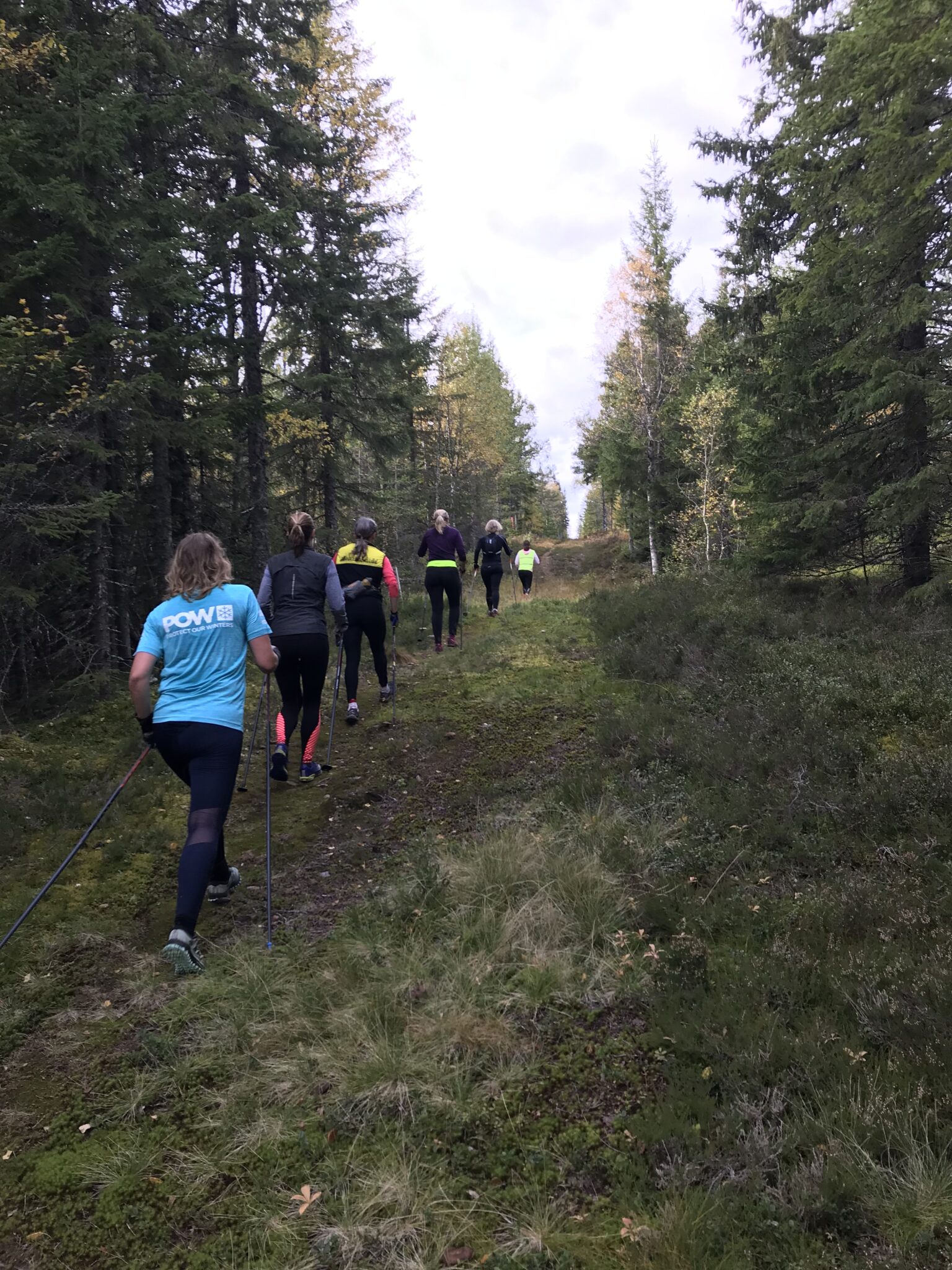 Träningsläger inför Vasaloppet Träningsinspiratören